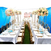 Royal Blue And Ivory Wedding Decorations