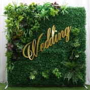 Maling Wedding Decoration With A Pot Plants